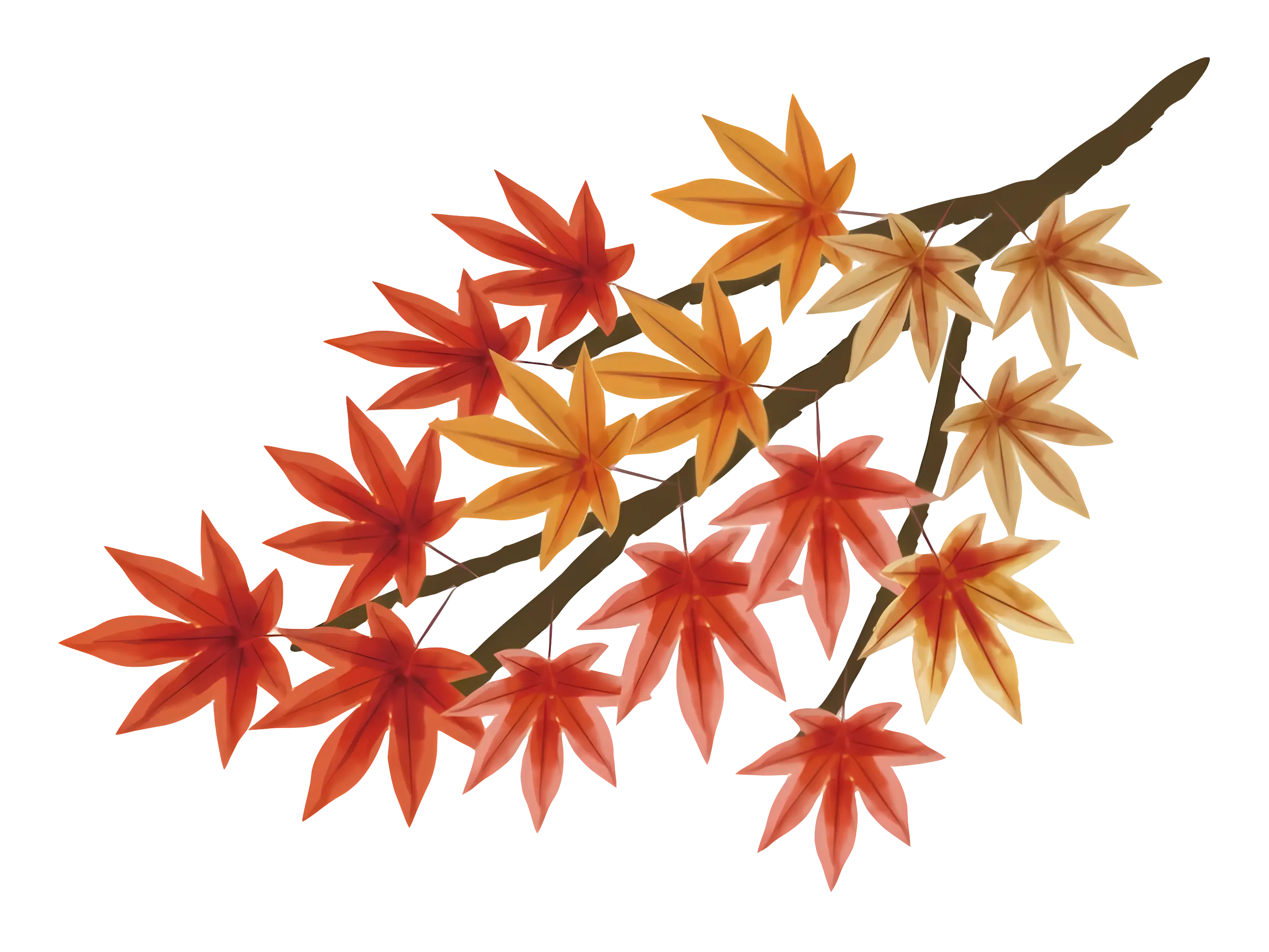 Red and Orange Maple Leaves Branch Illustration
