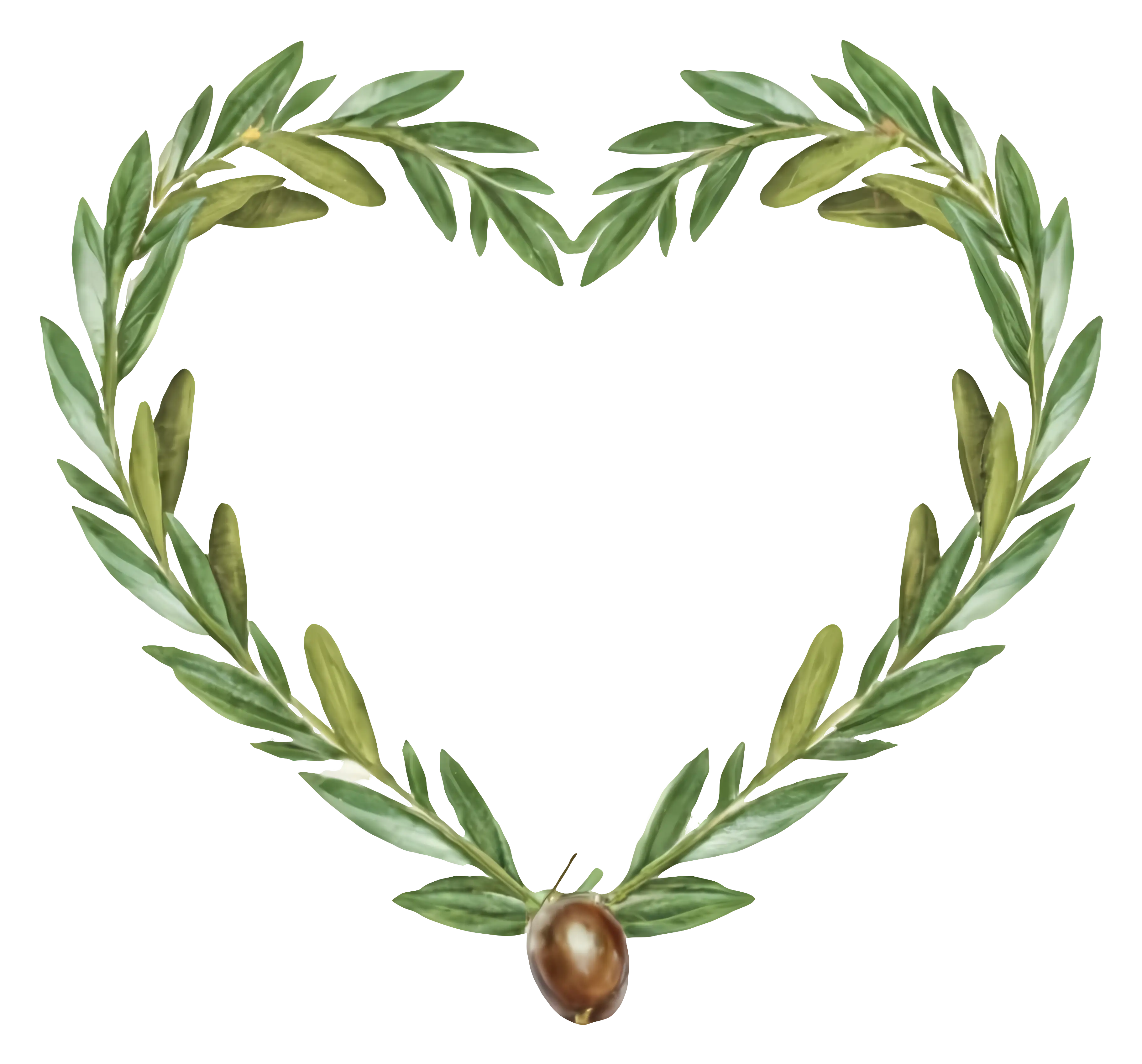 Heart-Shaped Olive Wreath