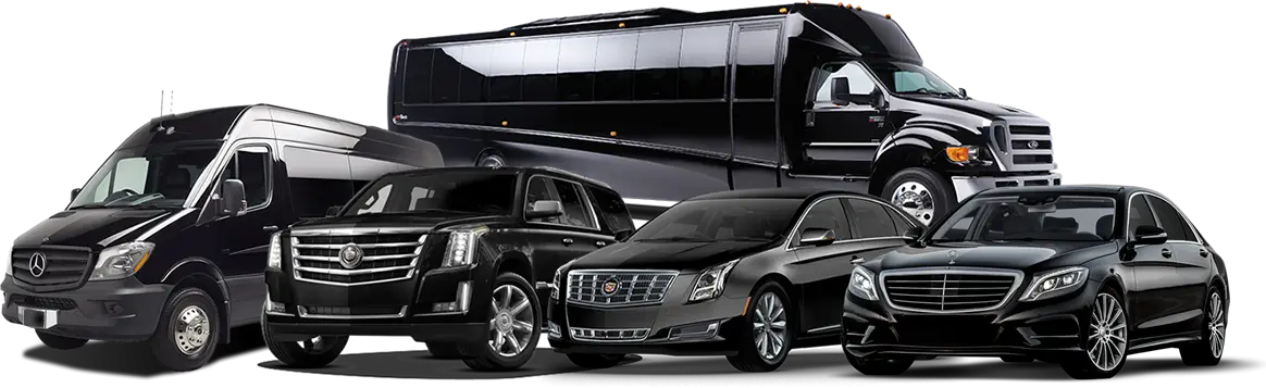 Group of Luxury Black Vehicles