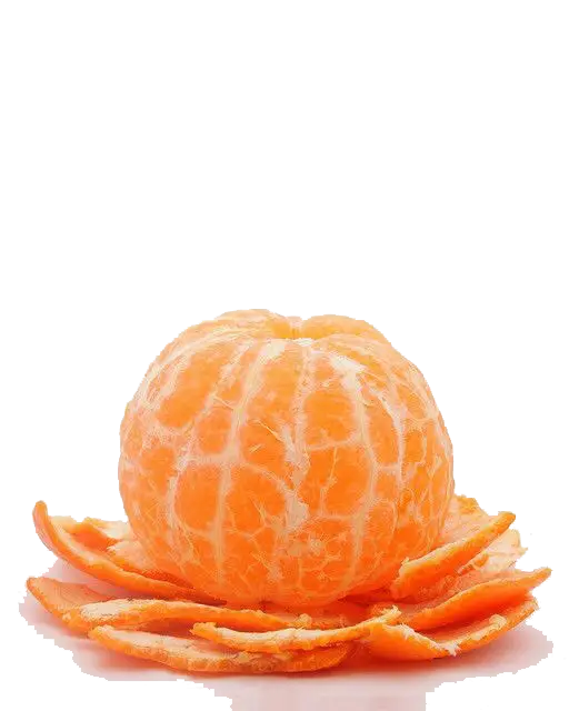 Fresh Peeled Orange