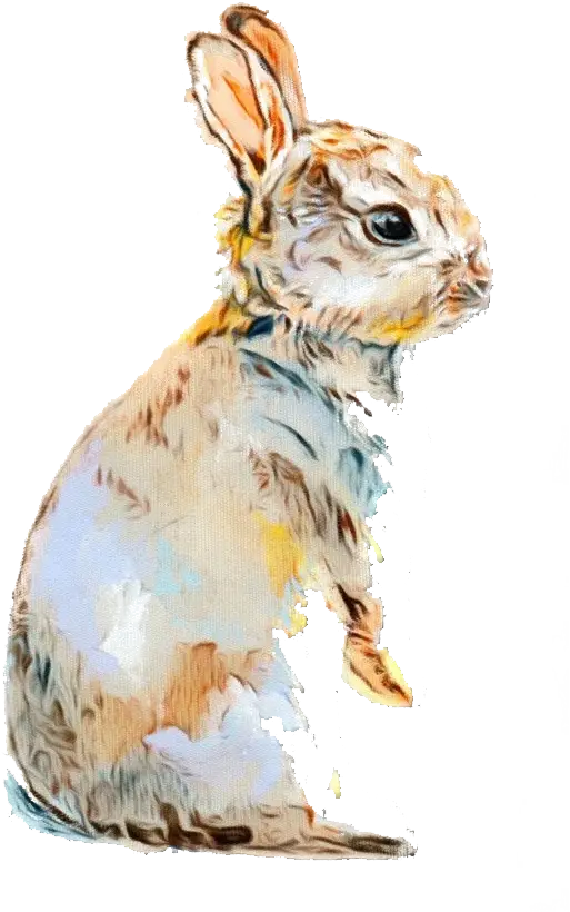 Adorable Rabbit Illustration in Watercolor Style