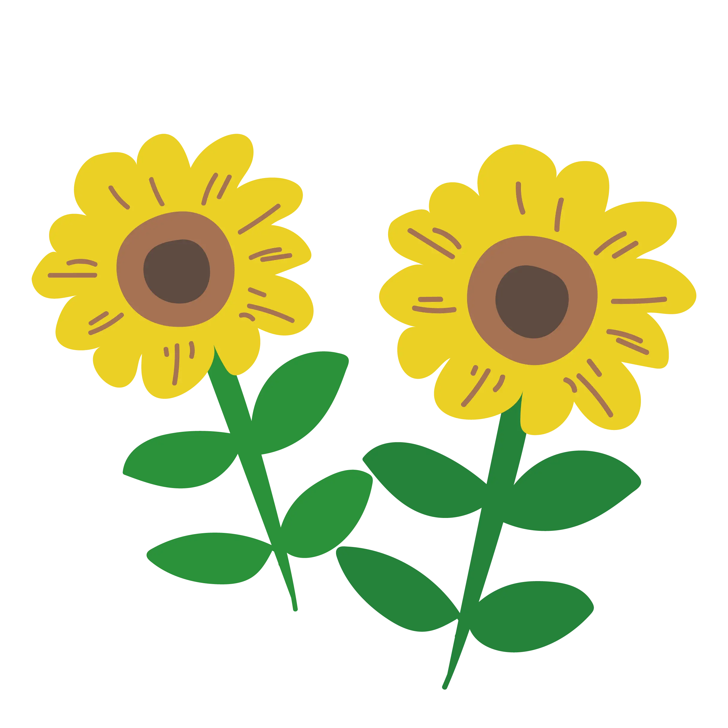 Yellow Sunflower Illustration