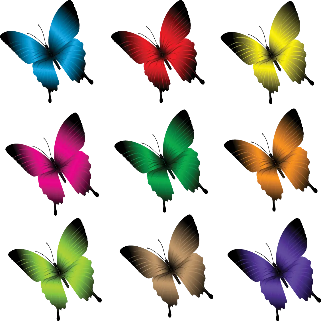 Colorful Butterflies Collection