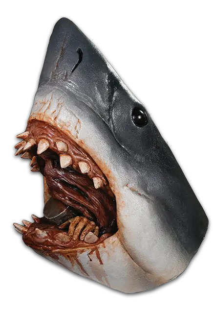Realistic Shark Head
