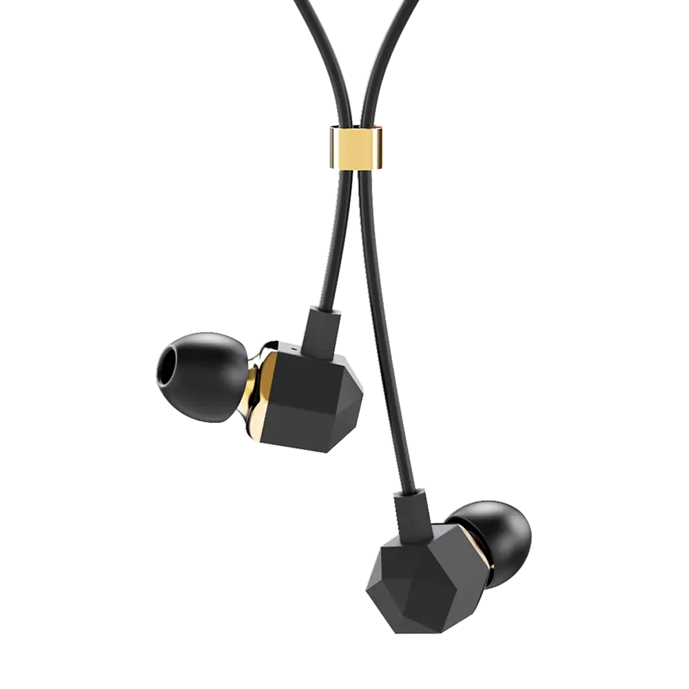 Black and Gold In-Ear Earphones