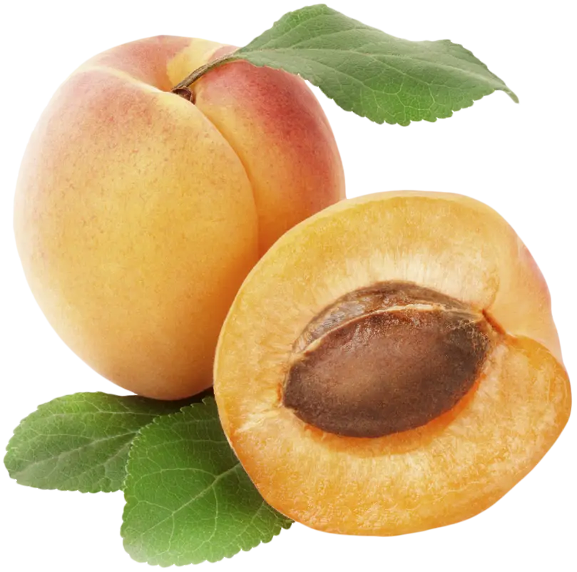 Fresh Apricot with Halved View
