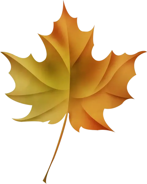 Yellow Maple Leaf Illustration
