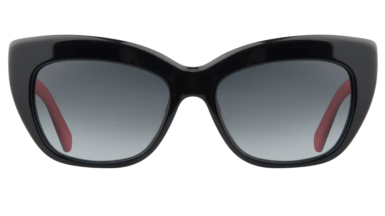Large Chic Black Sunglasses