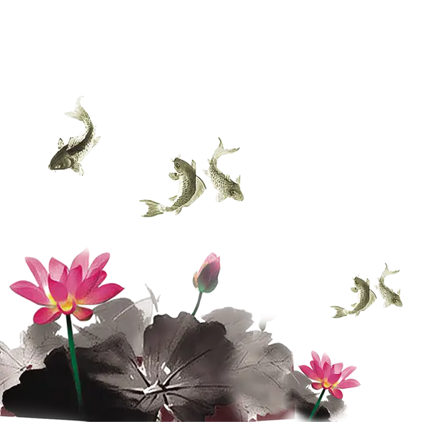 Koi Fish and Lotus Watercolor Illustration