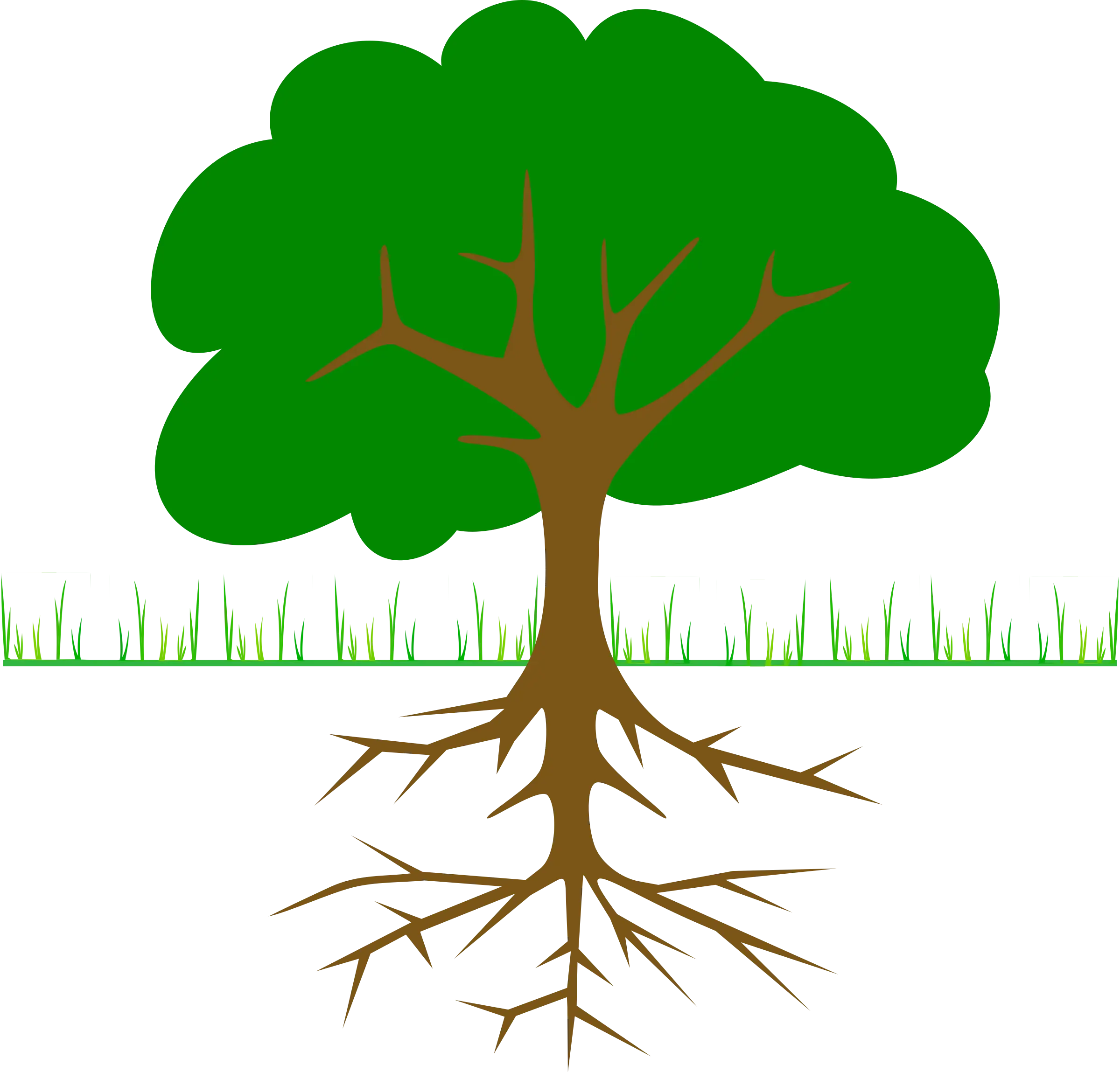 Tree with Visible Roots Illustration