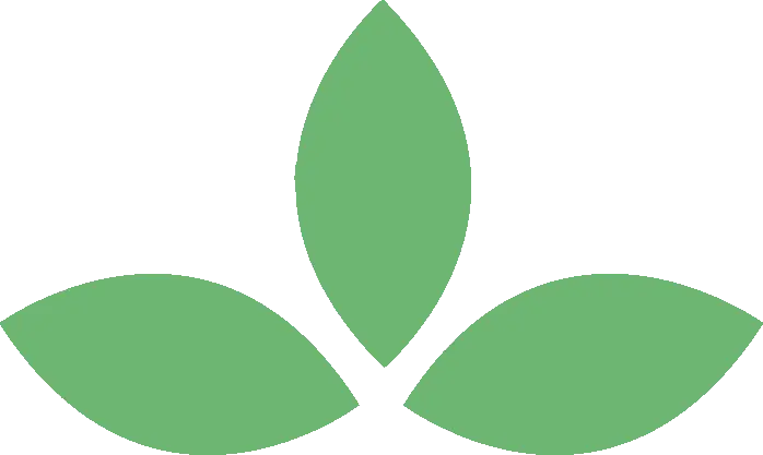 Green Leaves Icon
