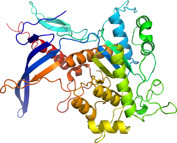 Colorful Protein Structure Representation