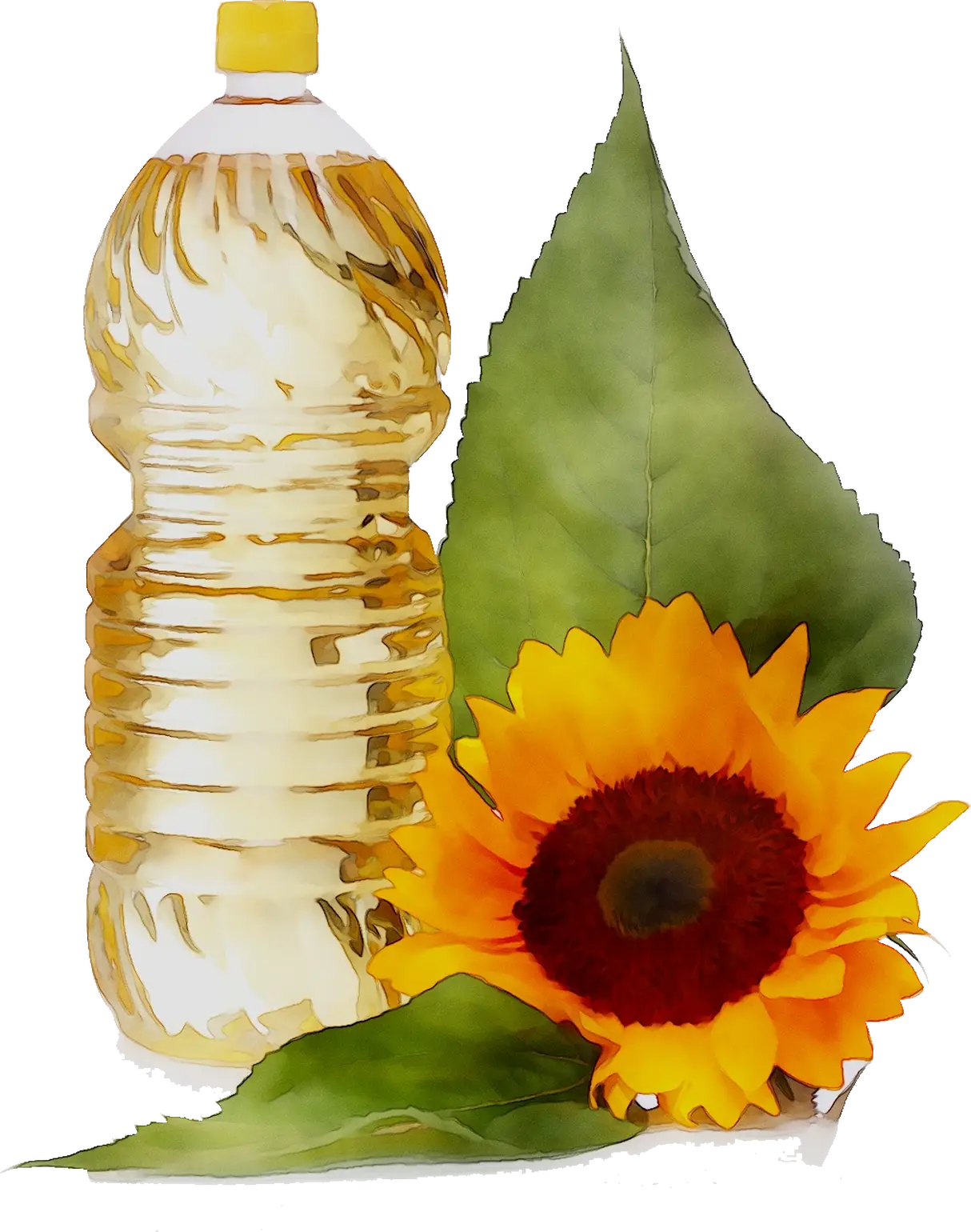Bottle of Sunflower Oil with Sunflower Decor