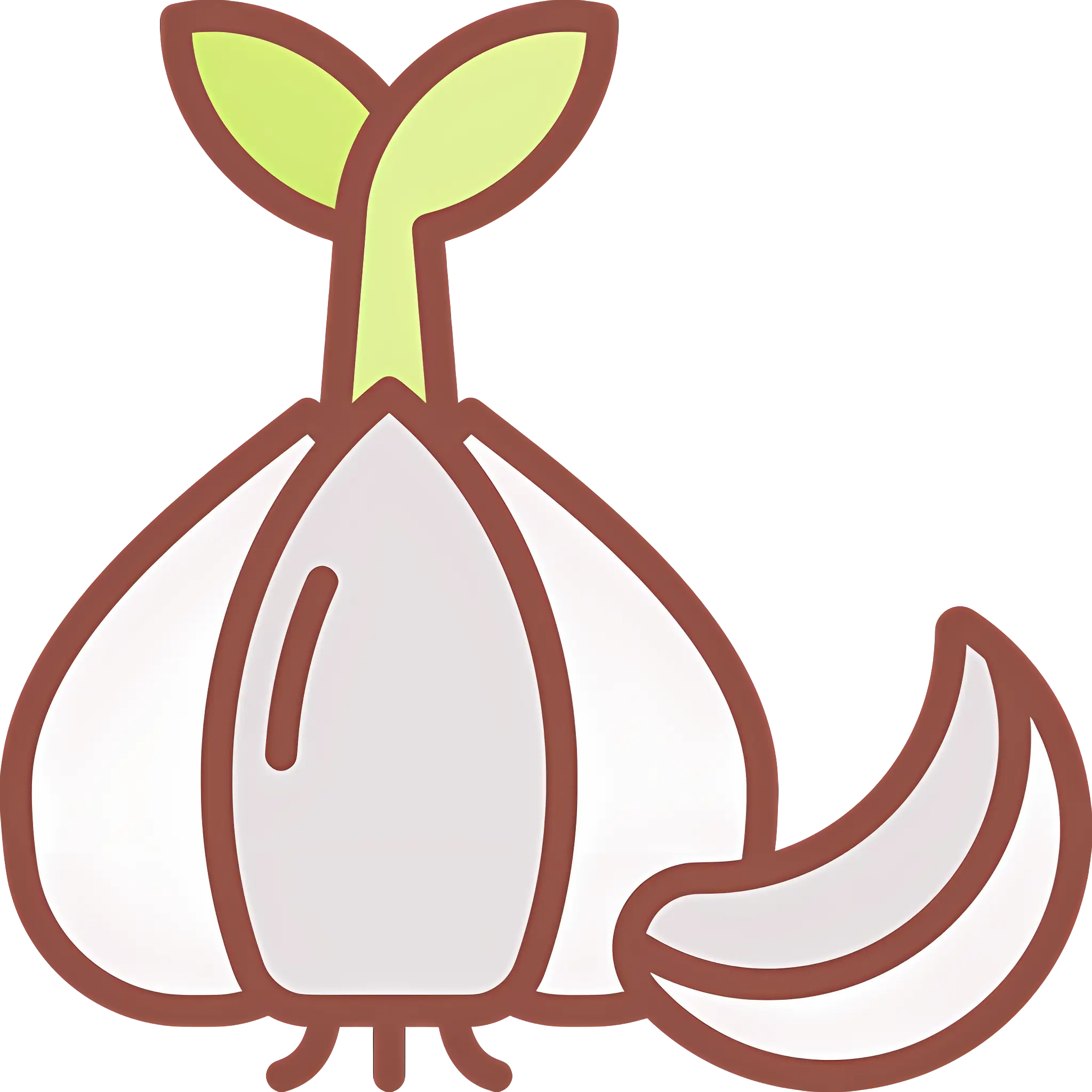 Fresh Garlic with Sprout