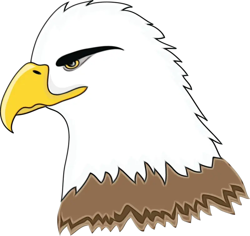 Majestic Eagle Head Illustration
