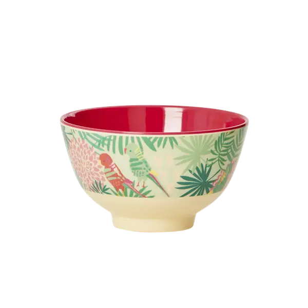 Colorful Decorative Ceramic Bowl
