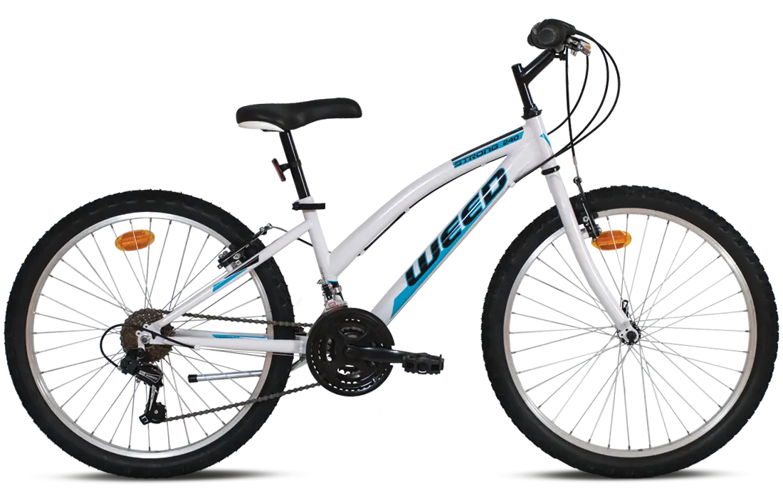 White Mountain Bicycle with Blue Details