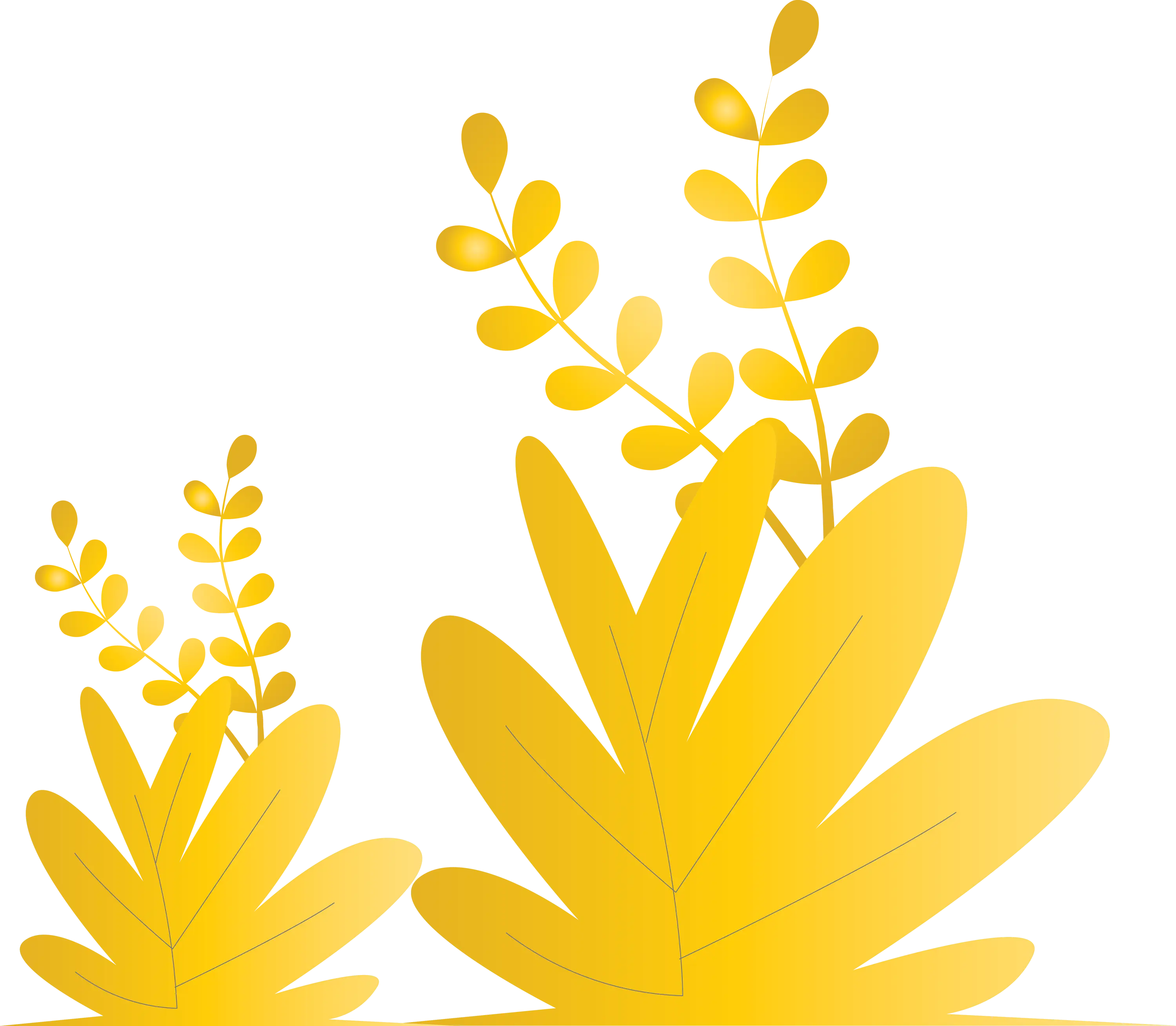 Golden Plant Illustrations for Decorative Use