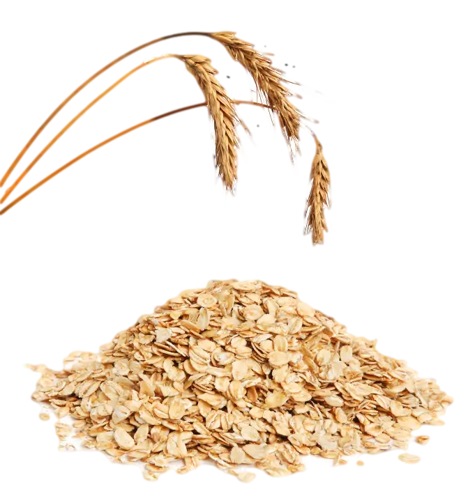 Healthy Oats with Wheat Stalks