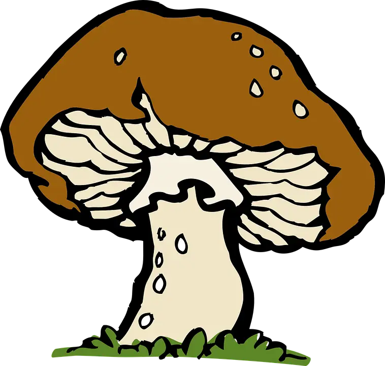 Brown Mushroom Cartoon