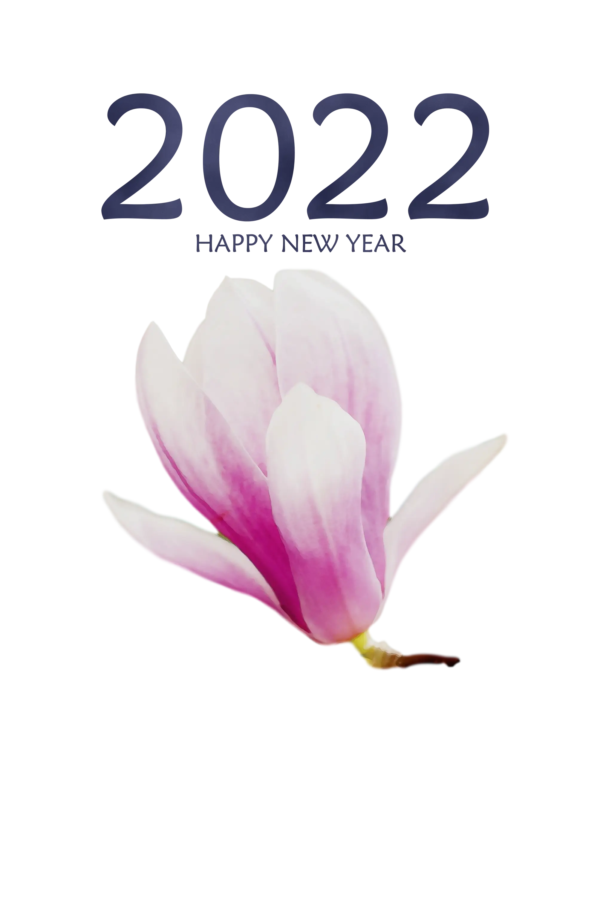 Pink Magnolia Flower with 2022 New Year Text