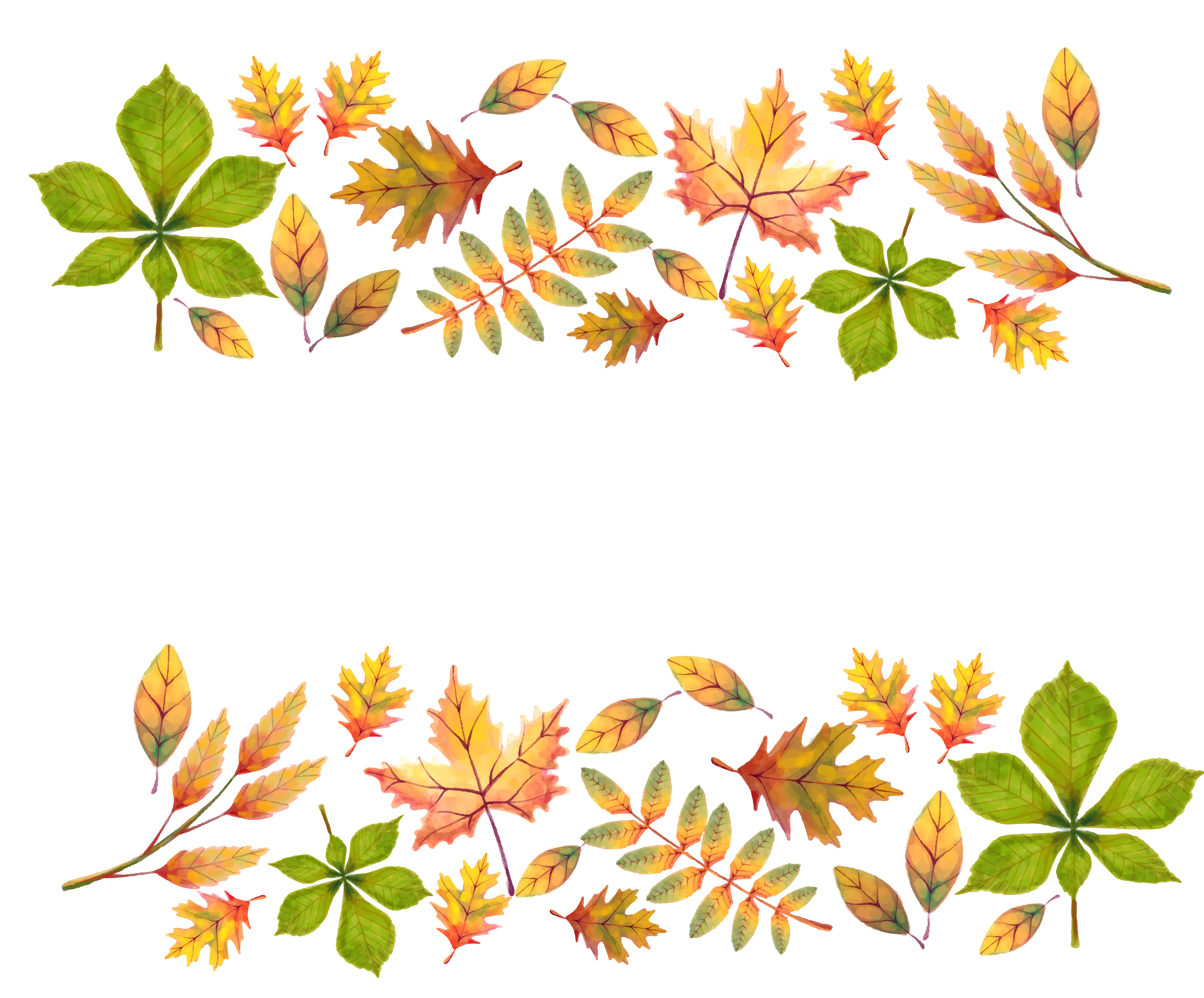 Autumn Leaves Border