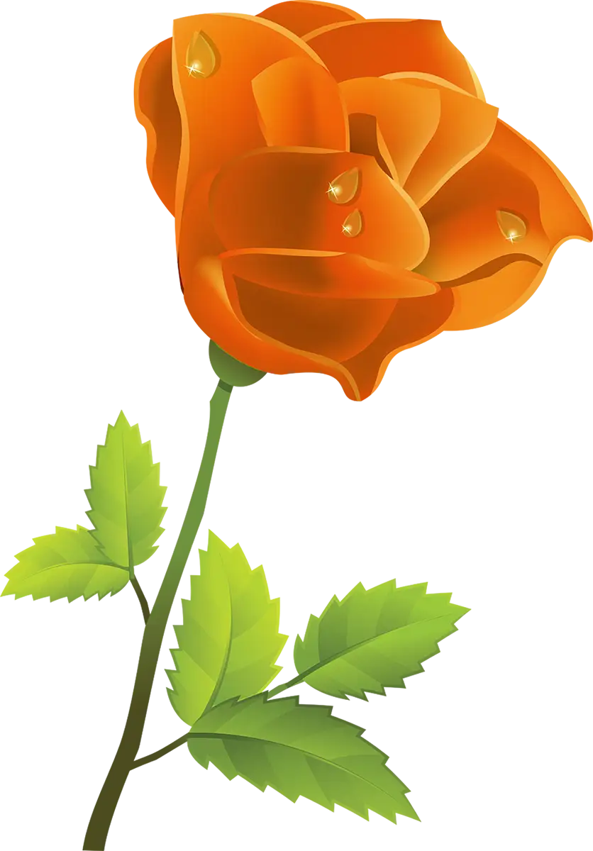 Orange Rose with Leaves