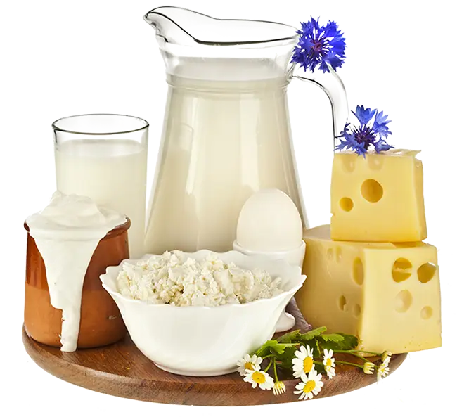 Dairy Products Assorted on Rustic Table