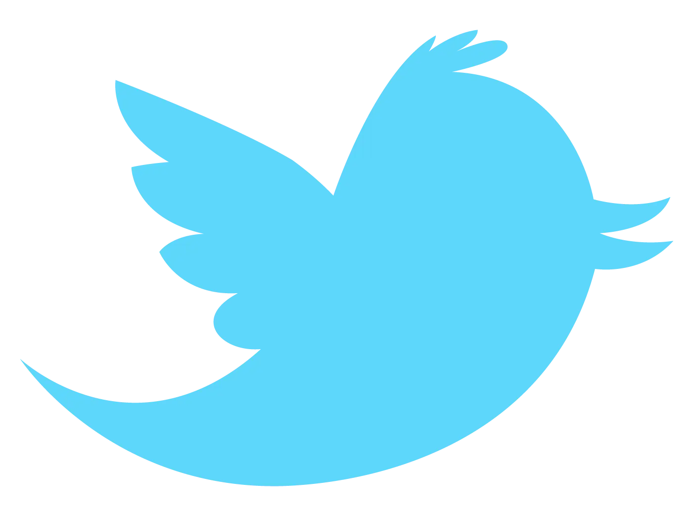 Twitter Bird Icon Logo