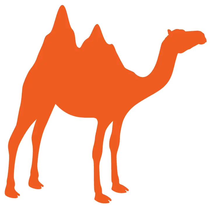Orange Silhouette of Two-Humped Camel