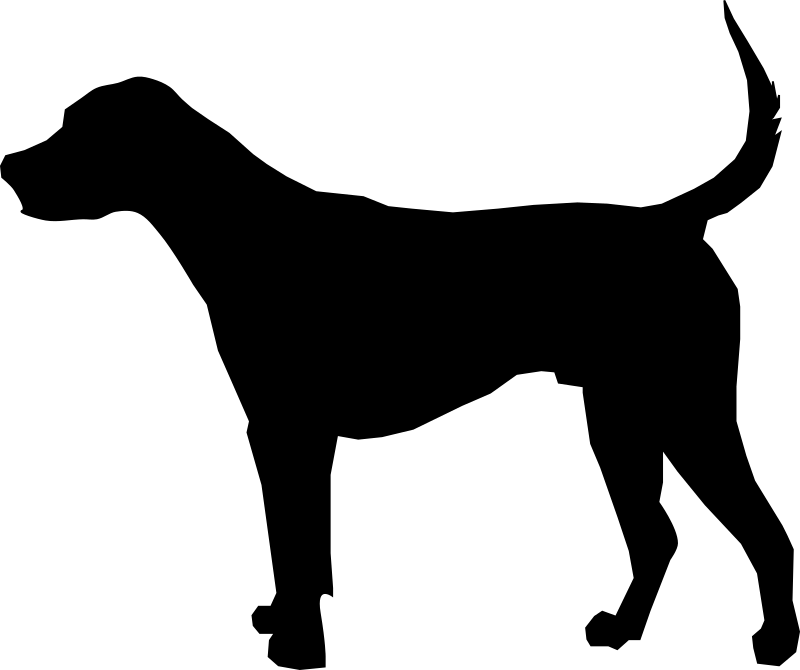 Silhouette of a Standing Dog