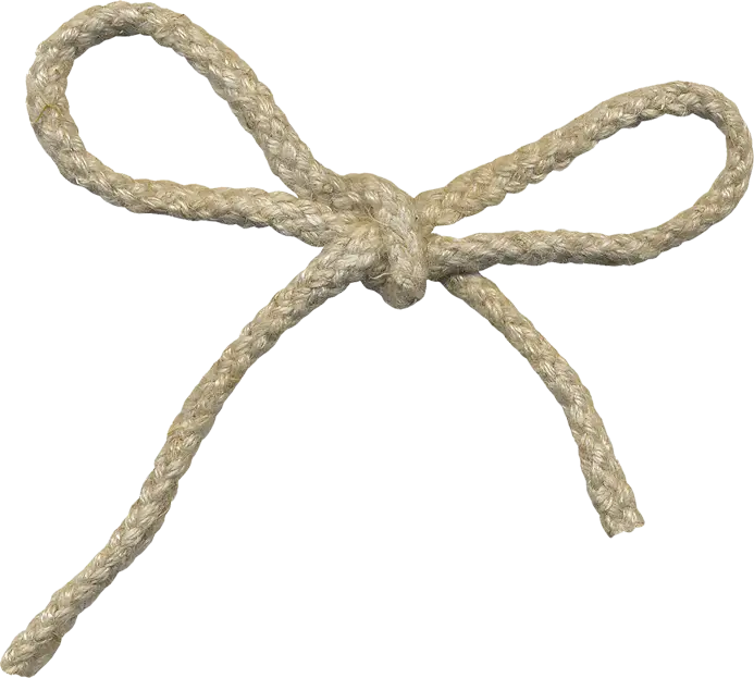 String Bow Tie for Natural Wrapping
