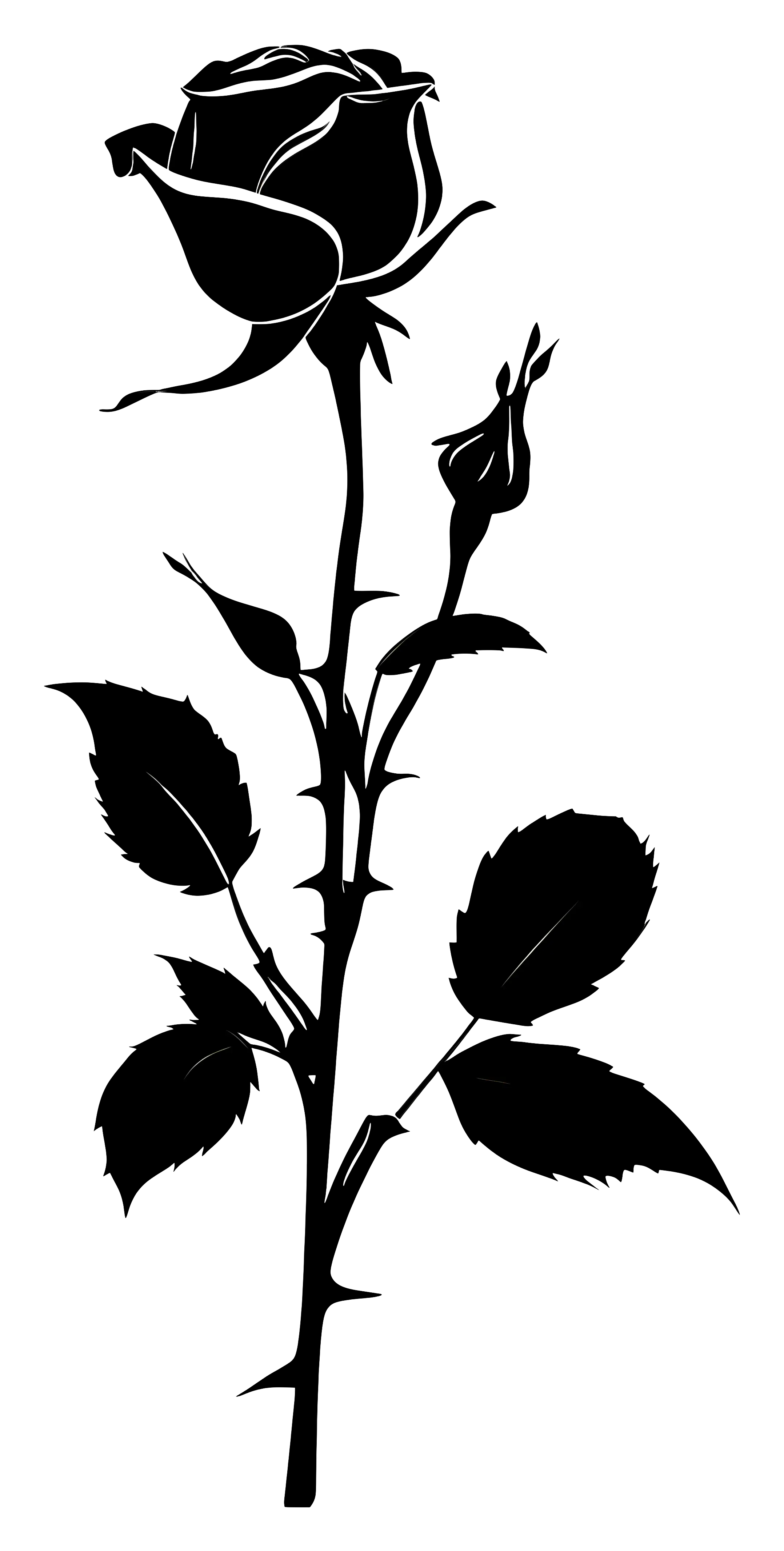 Elegant Black Rose Silhouette