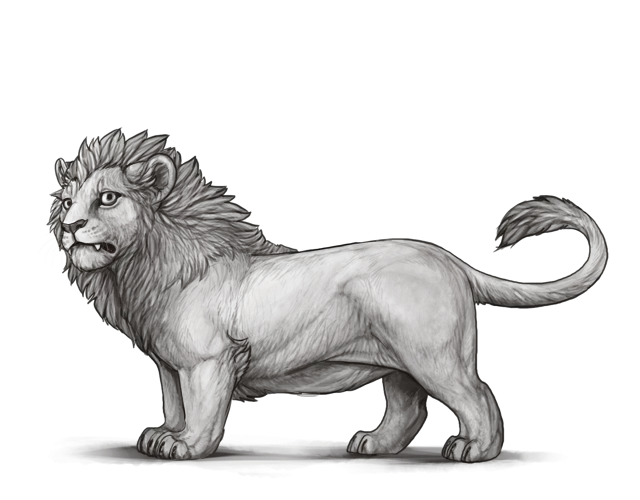 Lion Pencil Sketch Illustration