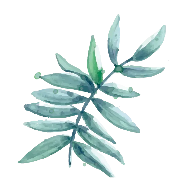 Watercolor Leaves Illustration