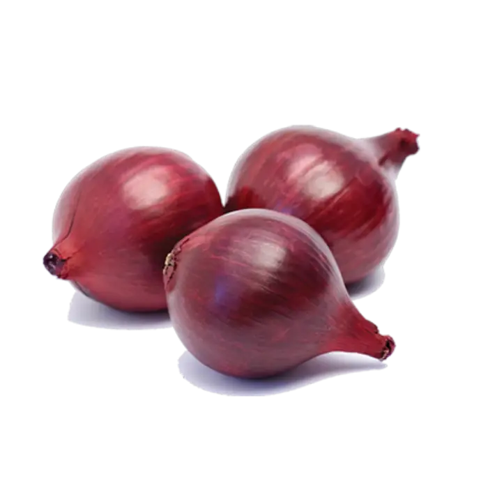 Fresh Red Onions for Cooking