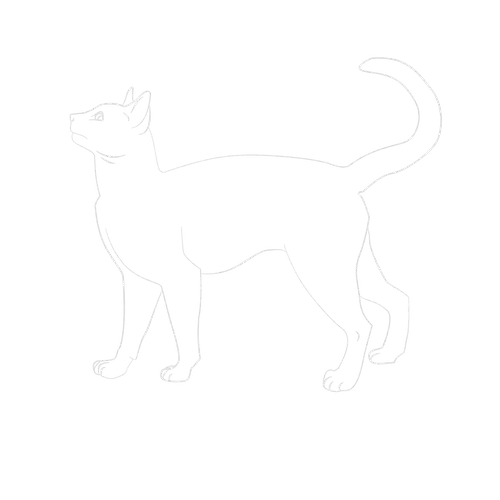 Transparent Line Art of a Cat