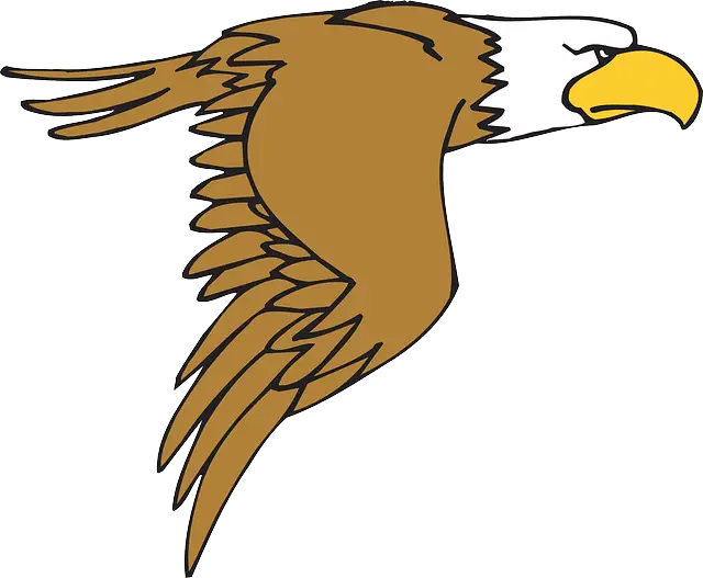 Flying Eagle Cartoon Illustration