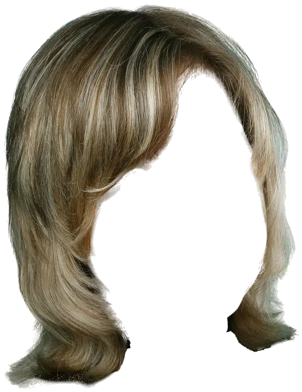 Blonde Hairstyle Wig Illustration