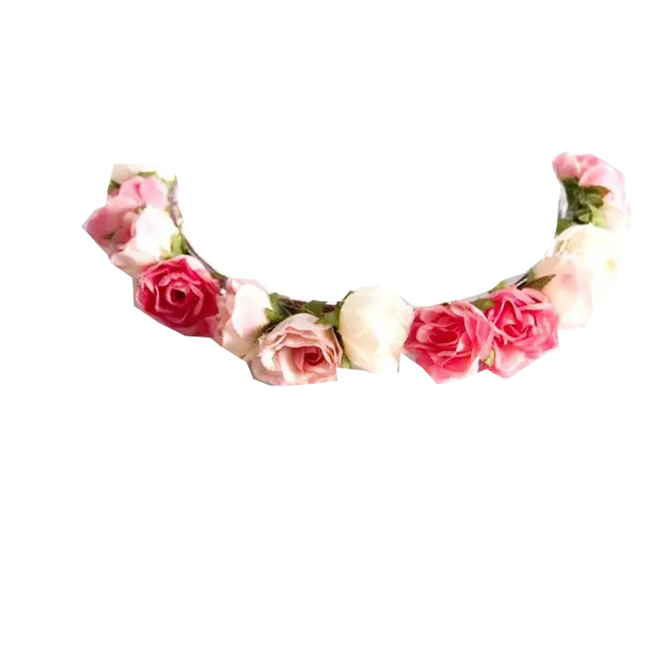 Beautiful Flower Crown