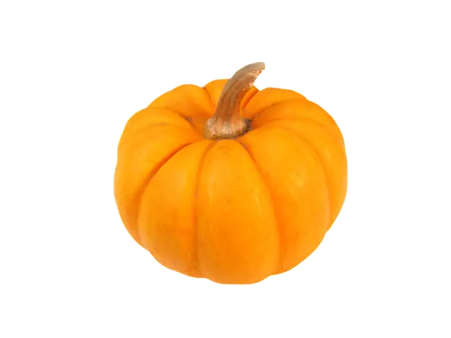 Bright orange pumpkin for autumn season
