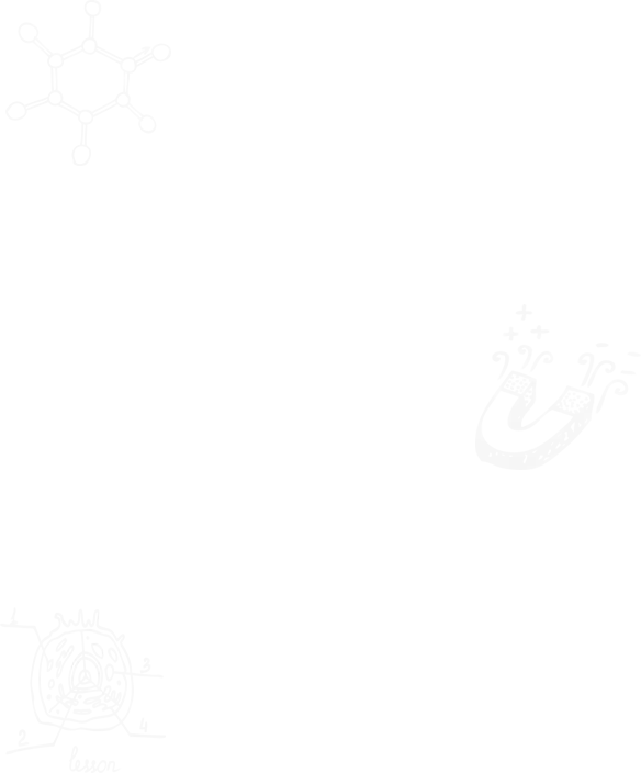 Empty Transparent Checkered Background
