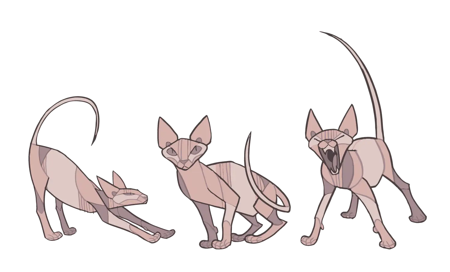 Sphynx Cats in Different Poses
