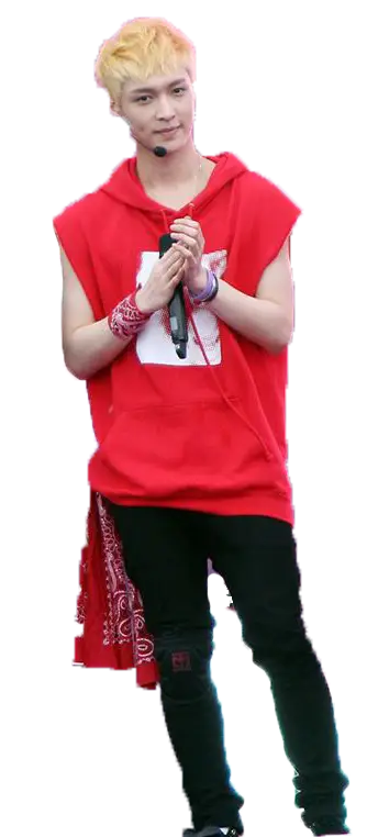 Person in Red Outfit Holding Microphone