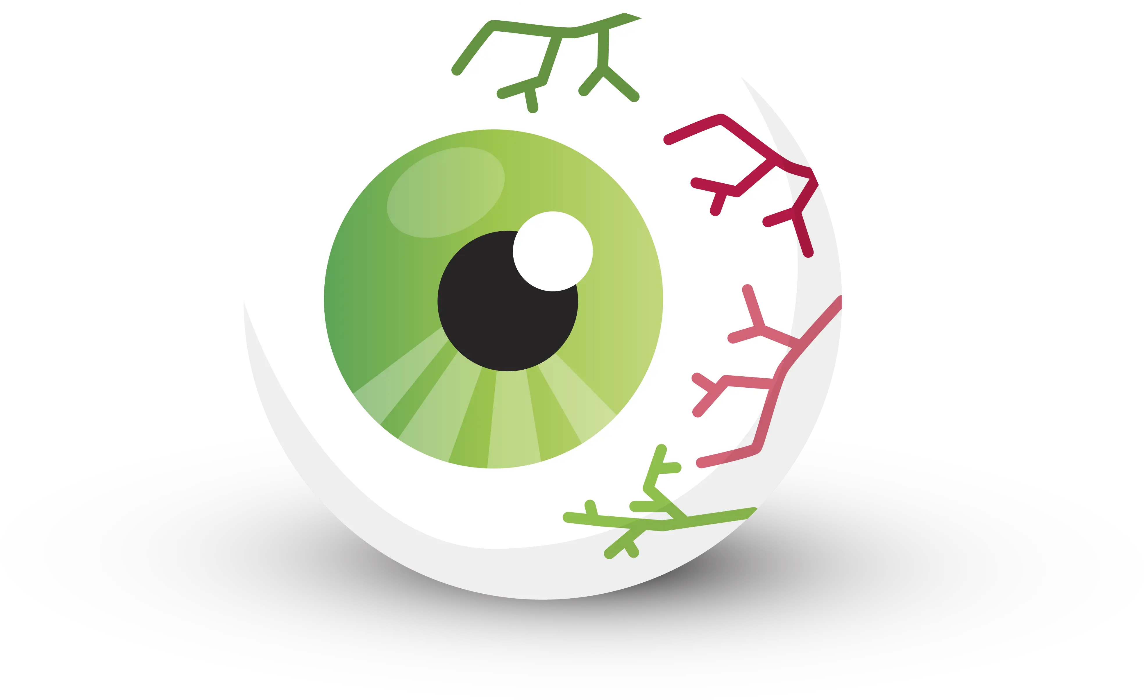 Cartoon Eyeball
