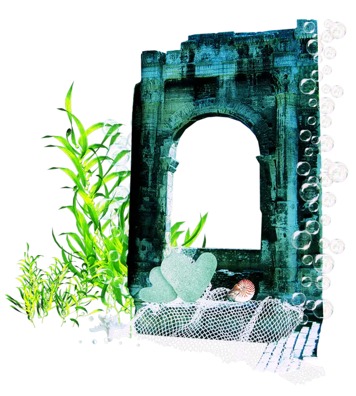 Aquarium Decoration with Plants and Arch