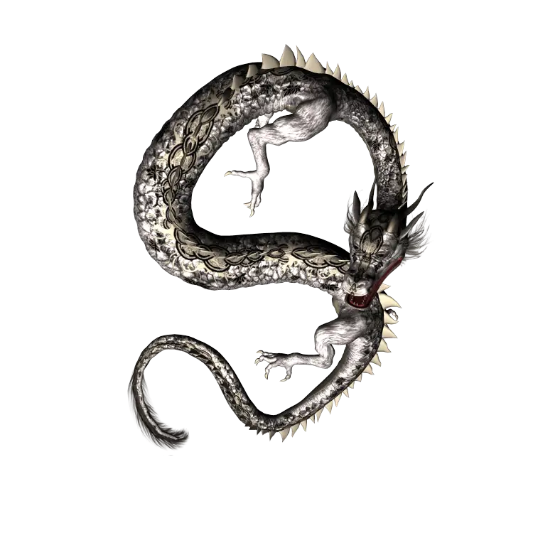 Black Dragon Illustration in Mythological Style