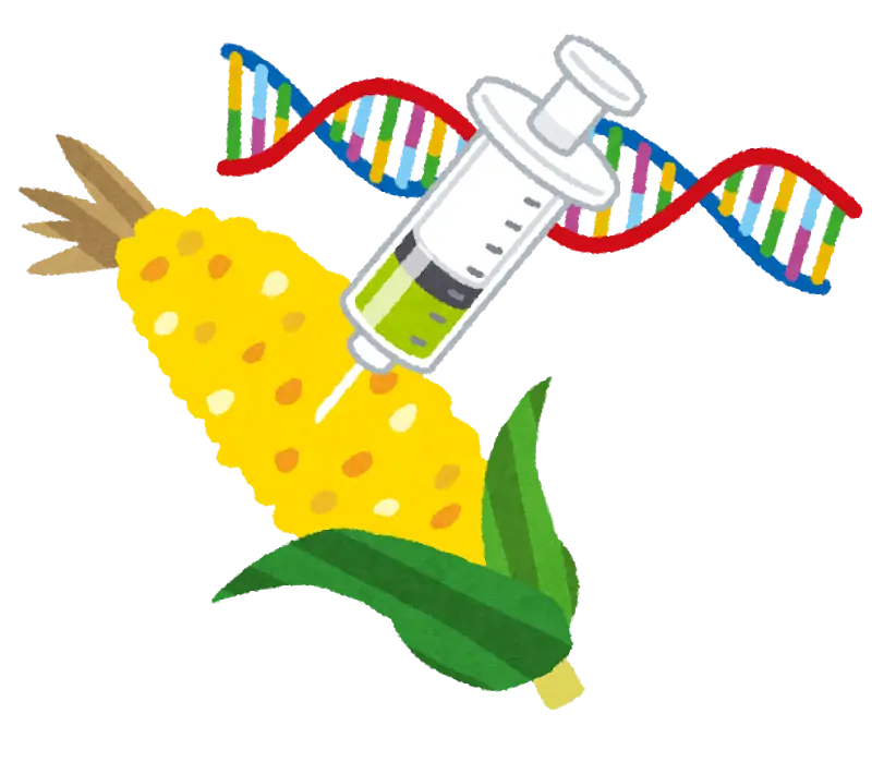 Genetically Modified Corn with DNA and Syringe