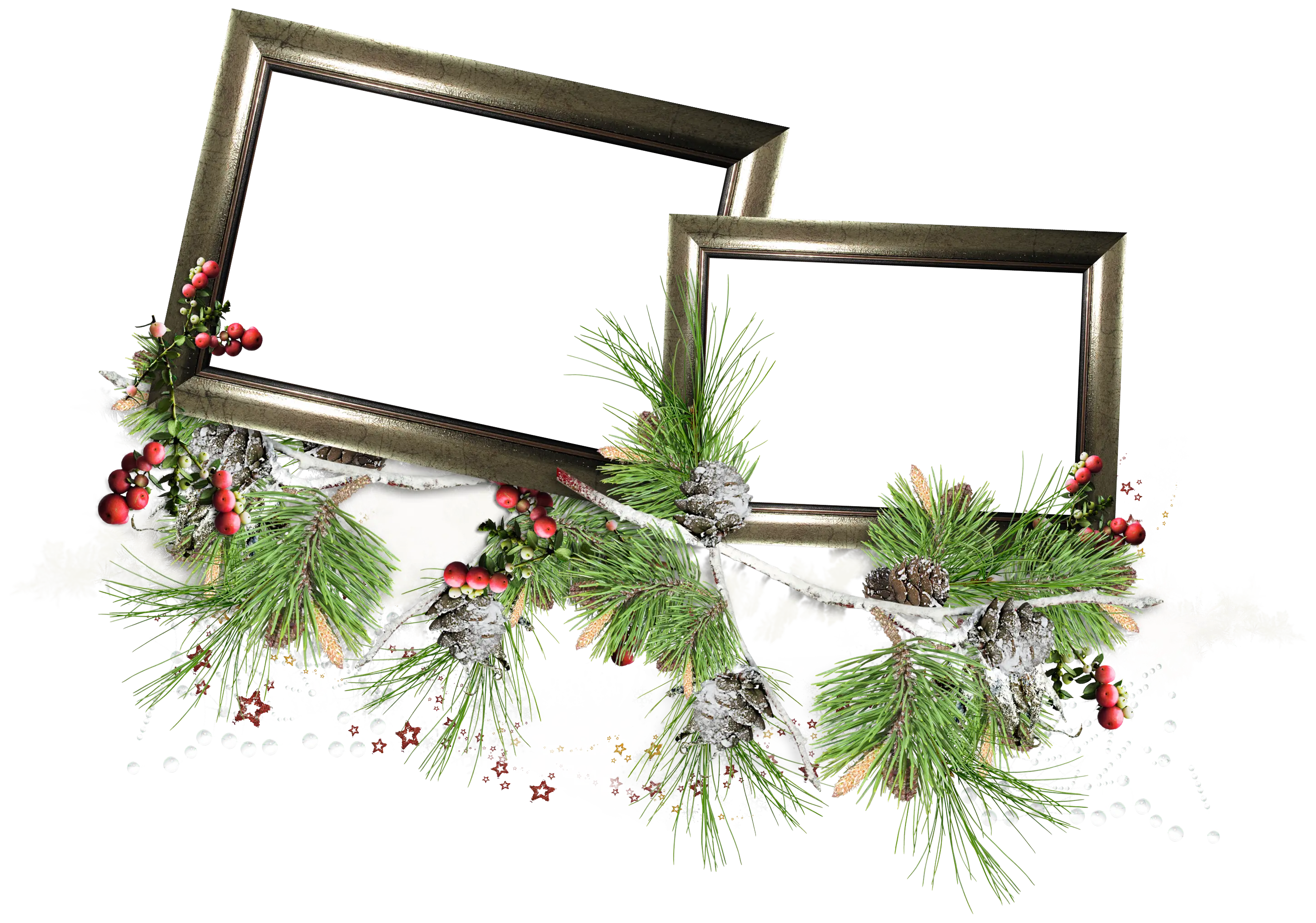 Festive Photo Frames with Pine Branches