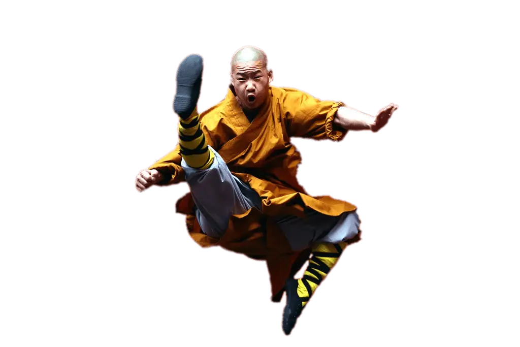 Martial Artist in Action Pose